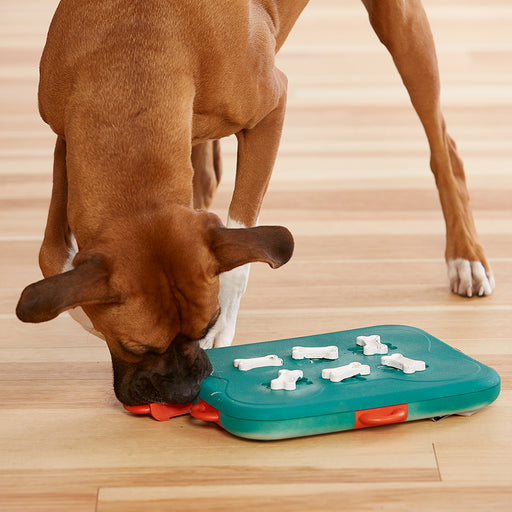 Dog Pet Paw Puzzle Feeder Bone Toy Boredom Breaker Interactive Foraging  Bowl