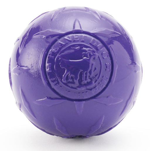 Planet Dog Orbee-Tuff Mazee Interactive Puzzle Dog Toy, Purple