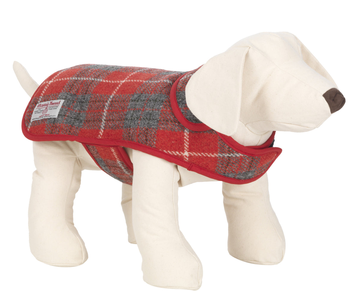 Harris tweed fashion dog