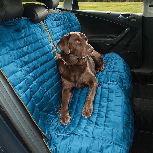 Autotürenschutz für Hunde